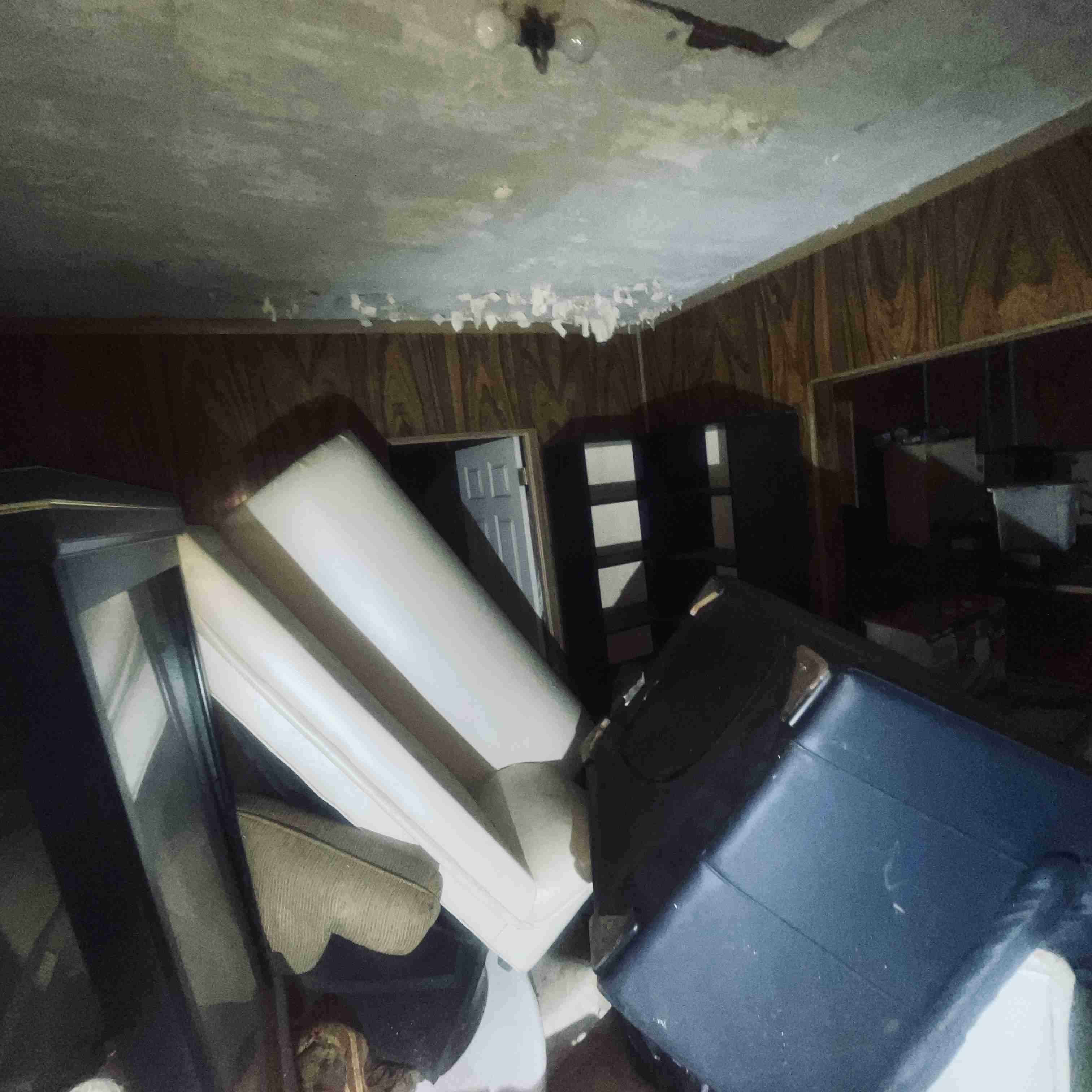 7528 Sarena (26).jpg